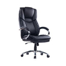 High-Back Leather Executive Chair - bigroofus
